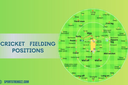 Cricket Fielding Positions