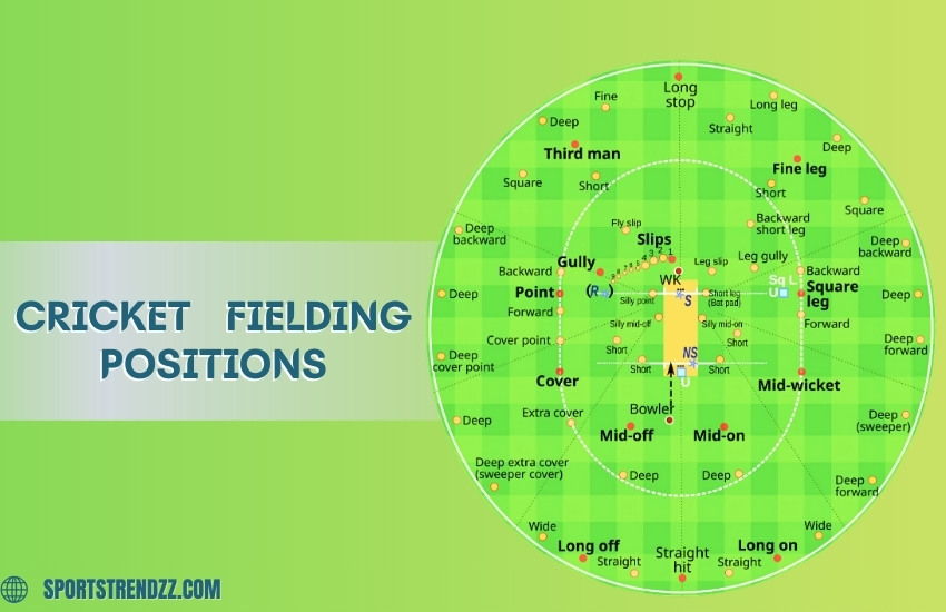 Cricket Fielding Positions