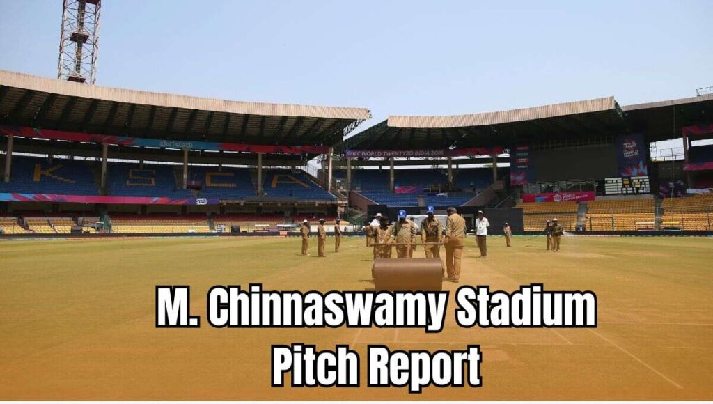 M.Chinnaswamy Stadium Pitch ground report